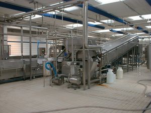 Écrémeuse de lactosérum - CSI - GEA Westfalia Separator