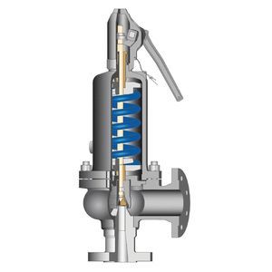 soupape de surpression à gaz 1