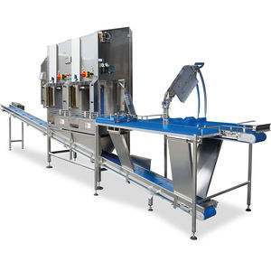 machine à éplucher de melons 1