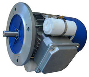 moteur asynchrone 1