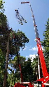 grue araignée sur chenilles