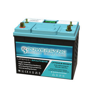 batterie LiFePO4 1