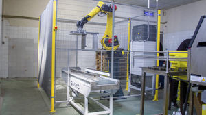 palettiseur robotisé 1