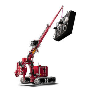 mini-grue type