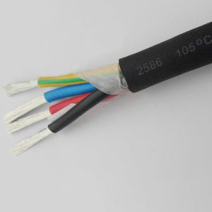 câble électrique d'alimentation 1