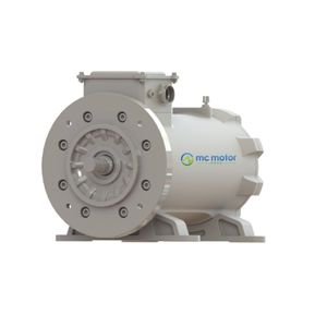 moteur synchrone
