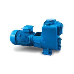 pompe à eau / avec moteur électrique / auto-amorçante / centrifuge