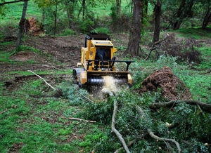 broyeur à axe horizontal forestier