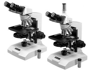 microscope optique
