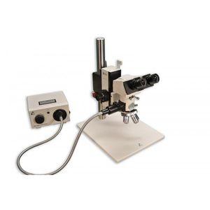 microscope optique