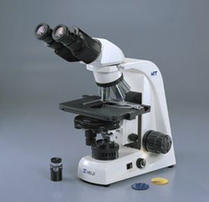 microscope optique