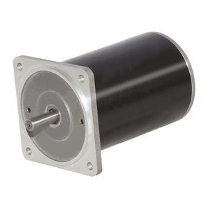 moteur à balais 1