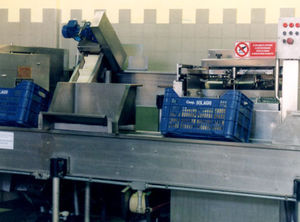 machine à éplucher d'agrumes 1
