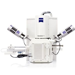 microscope électronique à balayage avec sonde ionique focalisée