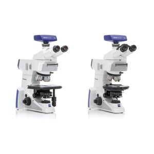 microscope optique