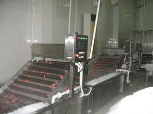 machine à glacer pour crevettes