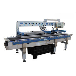 machine de polissage multitête