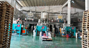ligne de production de verre automobile