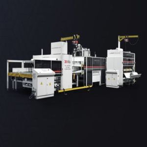 machine de conditionnement automatique