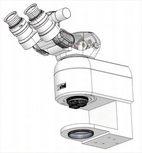microscope optique