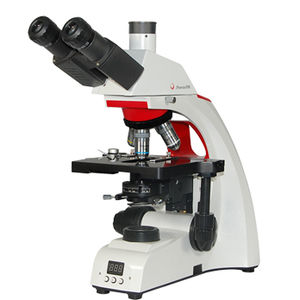 microscope numérique 1