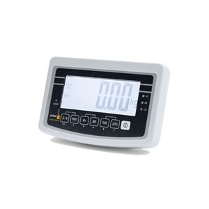 indicateur de pesage numérique 1