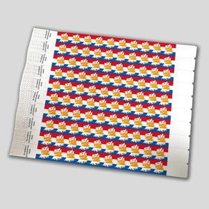 bracelet de sécurité tyvek 1
