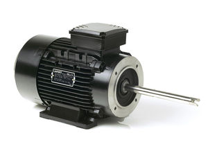 moteur synchrone