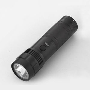 lampe torche d'inspection