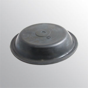 membrane