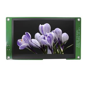 module d'affichage 4.3" 1