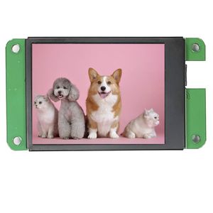 module d'affichage 2.4" 1