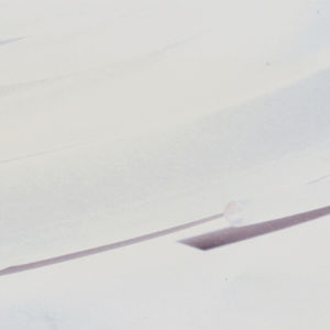 tuyau flexible pour l'eau