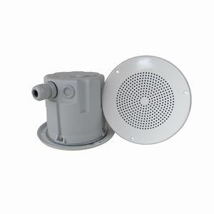haut-parleur de plafond