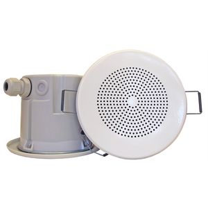 haut-parleur de plafond