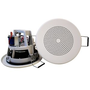 haut-parleur de plafond 1