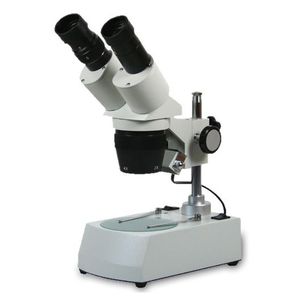stéréomicroscope optique