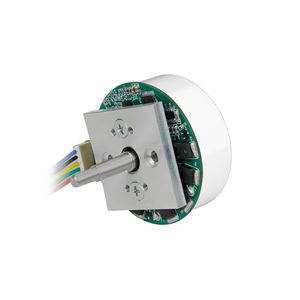moteur BLDC 1