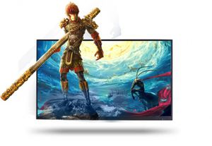 moniteur LCD