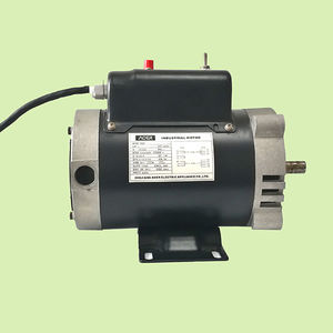 moteur à induction