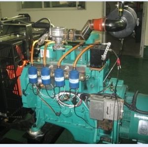 groupe électrogène à gaz