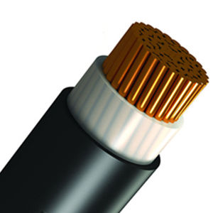 câble électrique d'alimentation