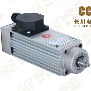 moteur à induction 1