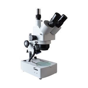 stéréomicroscope optique