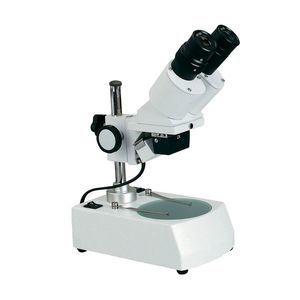 stéréomicroscope numérique