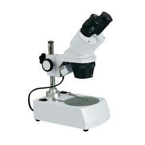stéréomicroscope numérique