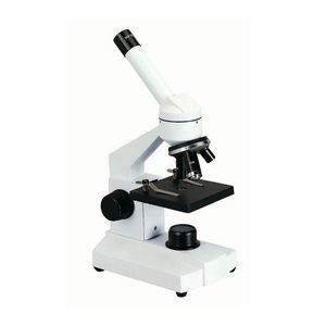 microscope optique