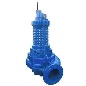 pompe à rotor 1