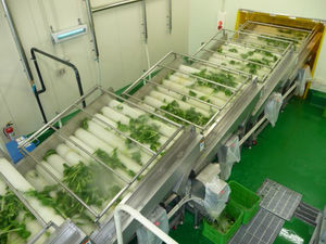 laveuse agro-alimentaire à brosse
