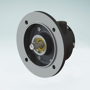 moteur pneumatique à palettes